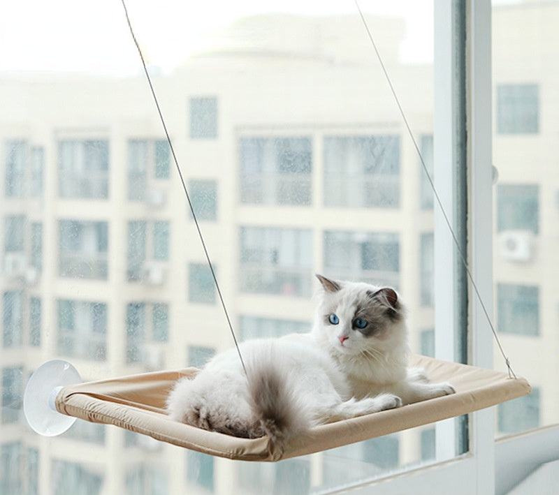 Cat Window Hammock